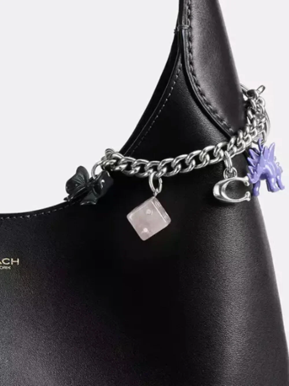 Coach silver multi